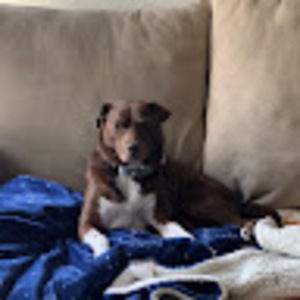 Meet your Posher, Thelma